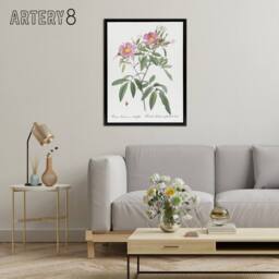 "Artery8 Hudson Swamp Rose Flowers Redoute Vintage Black Framed Canvas Wall Art in White - Size: W12"" x H16""" - thumbnail 3