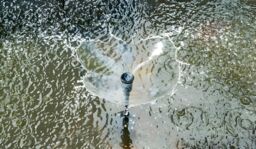 Primrose Solar Powered Pond Fountain Pump Kit with LEDs Battery Backup 1200 LPH in True Black - thumbnail 3