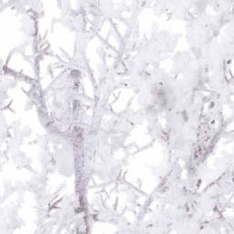 Lemon Pavilion Furniture and Decor Snowy Branch Artificial Plant - Plastic - L38 x W38 x H110 cm in White - thumbnail 2