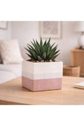 KDMD Hortus Pink & White Bordeaux Stoneware Cube 12.5cm H x 12.5cm W - Size: 12.5 cm H x 12.5 cm W - thumbnail 4
