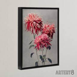 "Artery8 Pink Chrysanthemum Flowers Framed Canvas Wall Art Print Ogawa Kazumasa - Size: W12"" x H16""" - thumbnail 2