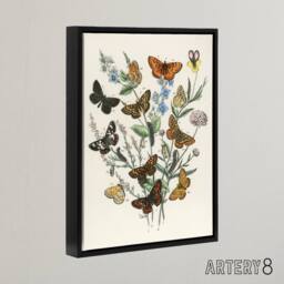 "Artery8 Butterflies & Caterpillars Kirby Black Framed Canvas Wall Art in White - Size: W12"" x H16""" - thumbnail 2