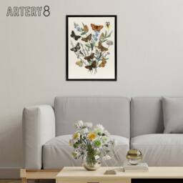 "Artery8 Butterflies & Caterpillars Kirby Black Framed Canvas Wall Art in White - Size: W12"" x H16""" - thumbnail 3