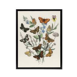 "Artery8 Butterflies & Caterpillars Kirby Black Framed Canvas Wall Art in White - Size: W12"" x H16""" - thumbnail 1