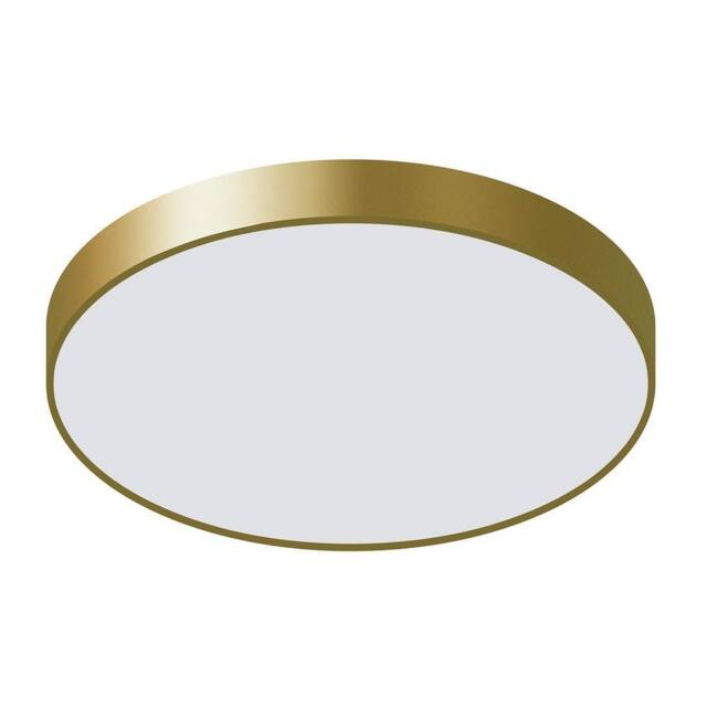 Netlighting Modern LED Flush Ceiling Light Golden Warm White 3000K 3600lm in Gold - image 1
