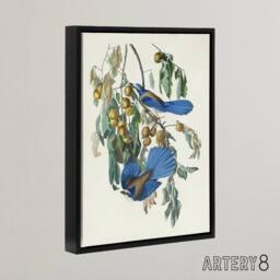"Artery8 Florida Jay & Persimmon Tree Audubon Nature Framed Canvas Wall Art in White - Size: W12"" x H16""" - thumbnail 2