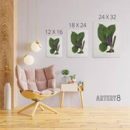 "Artery8 AF Lydon B Fawcett Green Dichorisandra Mosaica Leaves Canvas Art Print in White - Size: W12"" x H16""" - thumbnail 4