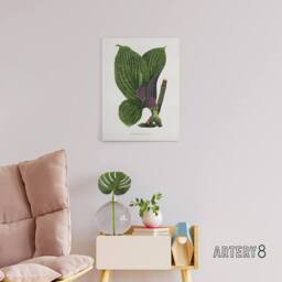 "Artery8 AF Lydon B Fawcett Green Dichorisandra Mosaica Leaves Canvas Art Print in White - Size: W12"" x H16""" - thumbnail 3