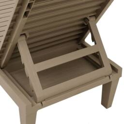 Berkfield Home Sun Lounger Light Brown 155x58x83 cm Polypropylene - Size: 155 x 58 x 83 cm - thumbnail 9
