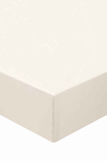 Murmur ' 1000TC' Plain Dye Fitted Sheet in Ivory - Size: Super King Fitted - image 1
