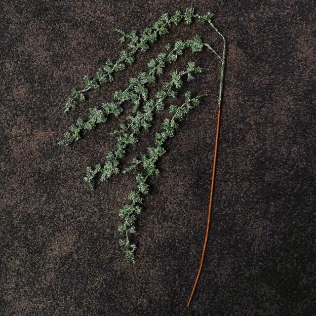 Samuel Alexander 96cm Green Glitter Frosted Mini Leaf Wispy Christmas Stem Decoration - image 1
