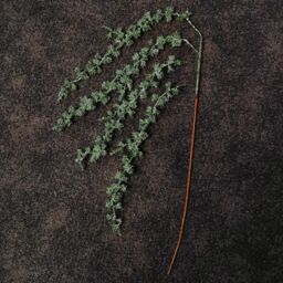 Samuel Alexander 96cm Green Glitter Frosted Mini Leaf Wispy Christmas Stem Decoration - thumbnail 1
