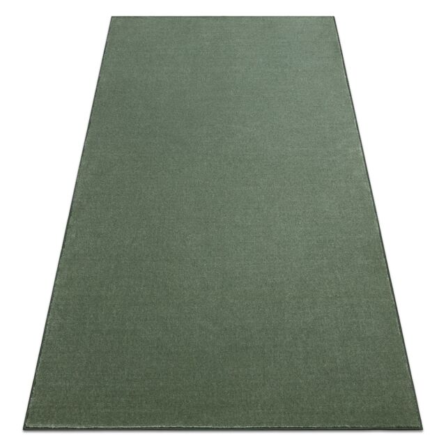 RugsX Seduction Rug in Green - Size: 100 cm x 150 cm - image 1