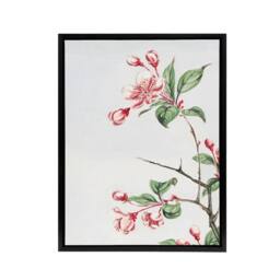 "Artery8 Kaido Crabapple Flower Bloom Framed Canvas Wall Art Print Japanese in Pink - Size: W12"" x H16""" - thumbnail 1
