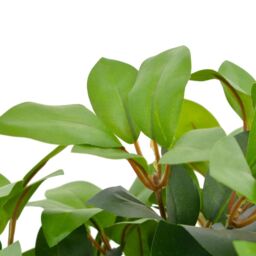 Berkfield Home Artificial Plant Laurel Tree with Pot Green 40 cm - thumbnail 2