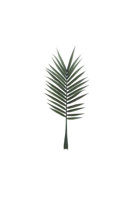 KDMD Botanica Palm Leaf 127cm Green - image 1