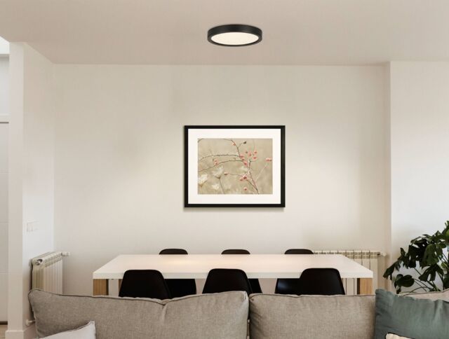 Eglo Basic LED Black Ceiling Light - image 1