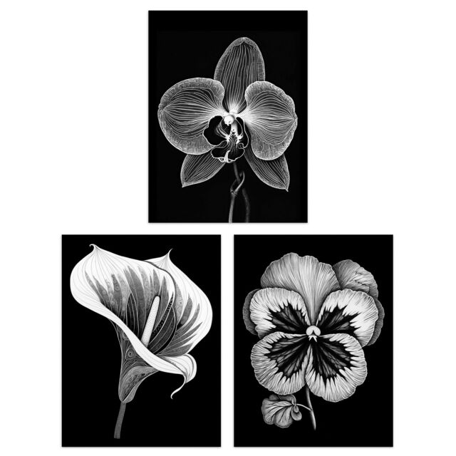 Artery8 Set of 3 Elegant Single Orchid Cala Lily Pansy Spring Flowers Black & White Floral Impact Artworks Unframed Wall Art Living Room Poster - image 1