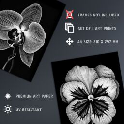 Artery8 Set of 3 Elegant Single Orchid Cala Lily Pansy Spring Flowers Black & White Floral Impact Artworks Unframed Wall Art Living Room Poster - thumbnail 4