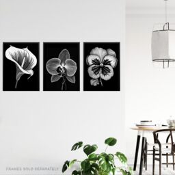 Artery8 Set of 3 Elegant Single Orchid Cala Lily Pansy Spring Flowers Black & White Floral Impact Artworks Unframed Wall Art Living Room Poster - thumbnail 3