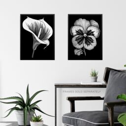 Artery8 Set of 3 Elegant Single Orchid Cala Lily Pansy Spring Flowers Black & White Floral Impact Artworks Unframed Wall Art Living Room Poster - thumbnail 6