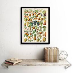 "Artery8 Millot Encyclopedia Page Fruit Grape Pineapple 12x16"" Framed Art Print - Size: W12"" x H16""" - thumbnail 2