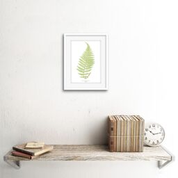 "Artery8 Wall Art Print Fern Polypodium Alpestre Art Framed 9x7 inch in White - Size: W7"" x H9""" - thumbnail 2
