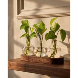 Havendro Glass Plant Propagation Station with Wooden Stand 3 Bulb Vase - thumbnail 2