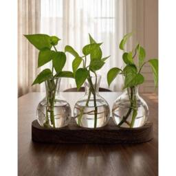 Havendro Glass Plant Propagation Station with Wooden Stand 3 Bulb Vase - thumbnail 1