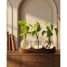Havendro Glass Plant Propagation Station with Wooden Stand 3 Bulb Vase - thumbnail 3
