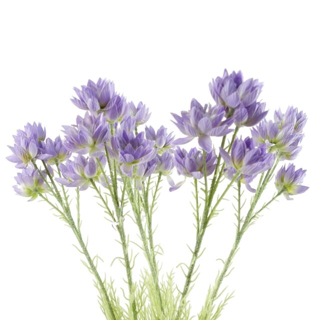 Pegdev Pack of 6 60cm Artificial Purple Starflower Stems with Silk Flowers - image 1