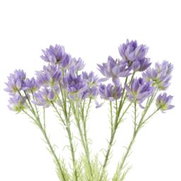 Pegdev Pack of 6 60cm Artificial Purple Starflower Stems with Silk Flowers - thumbnail 1