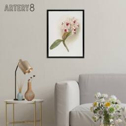 "Artery8 Frederick Sander Cattleya Amethystoglossa Orchid Framed Canvas Art in White - Size: W12"" x H16""" - thumbnail 3