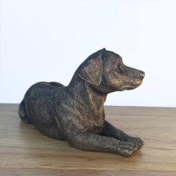 Animal Crackers Jack Russell Terrier Dog Figurine, Leonardo Reflections, Gift Boxed in Bronze - thumbnail 6