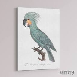 "Artery8 The Palm Cockatoo Parrot Francois Levaillant Canvas Wall Art Print in White - Size: W12"" x H16""" - thumbnail 2