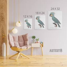"Artery8 The Palm Cockatoo Parrot Francois Levaillant Canvas Wall Art Print in White - Size: W12"" x H16""" - thumbnail 4