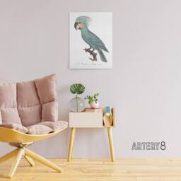"Artery8 The Palm Cockatoo Parrot Francois Levaillant Canvas Wall Art Print in White - Size: W12"" x H16""" - thumbnail 3
