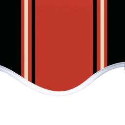 Berkfield Home Replacement Fabric for Awning Orange & Brown 5x3.5 m - thumbnail 5