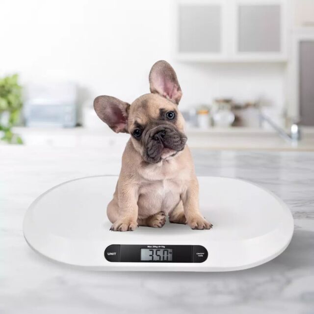 Marco Paul 20kg Electronic Baby Weighing Scales in White - image 1