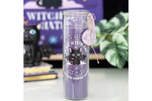 KDMD Of Whiskers & Wings Lavender Tube Candle in Purple - image 1