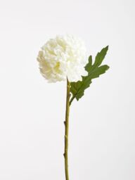 Orsina Chrysanthemum Stem - 84cm White, Realistic Faux Flower With Delicate Petals & Green Stem, Adds Elegance in White - thumbnail 4