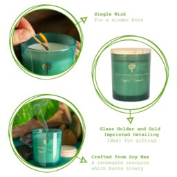 Nicola Spring 130g Sage & Seasalt Soy Candles - Pack of 3 - Herbal Spa Glass Jars in Green - thumbnail 3