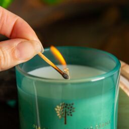 Nicola Spring 130g Sage & Seasalt Soy Candles - Pack of 3 - Herbal Spa Glass Jars in Green - thumbnail 7