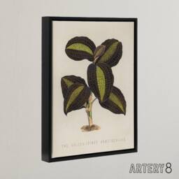"Artery8 Golden Veined Jewel Orchid Botanical Black Framed Canvas Wall Art in Beige - Size: W18"" x H24""" - thumbnail 2