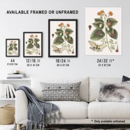 "Artery8 Great Moth Tievine & Geiger Tree Flowers Catesby Wall Art Poster - Size: W18"" x H24""" - thumbnail 3