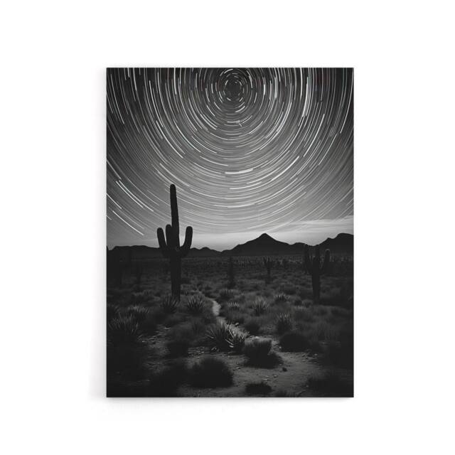 "Artery8 Night Sky Stars Time Lapse Over Desert Cactus Canvas Wall Art Print in Grey - Size: W18"" x H24""" - image 1