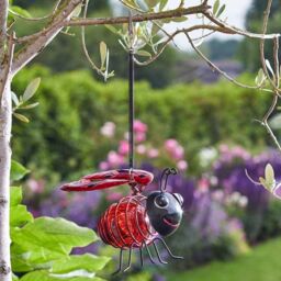 Marco Paul Solar Bug Light - Ladybird in Red - thumbnail 2