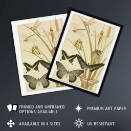 "Artery8 Butterflies & Dragonflies Vintage Wall Art Print Verneuil in Khaki - Size: W24"" x H32""" - thumbnail 2