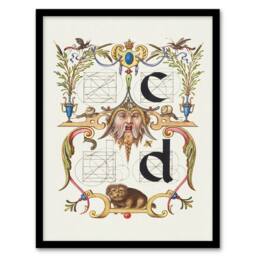 Artery8 Model Book of Calligraphy Framed Wall Art Pictoral Letter Guide C & D in White - Size: A4 - thumbnail 1