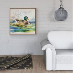 Warren Reed - Designer Splashing Mallard Watercolour Framed Canvas in Light Brown - Size: w40 inch x h40 inch - thumbnail 2